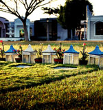 手机号轰炸业务网